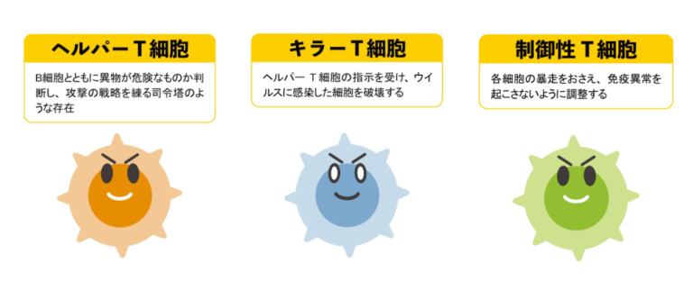 獲得免疫における細胞性免疫とは？液性免疫との違いも詳しく解説！ やさしいlps