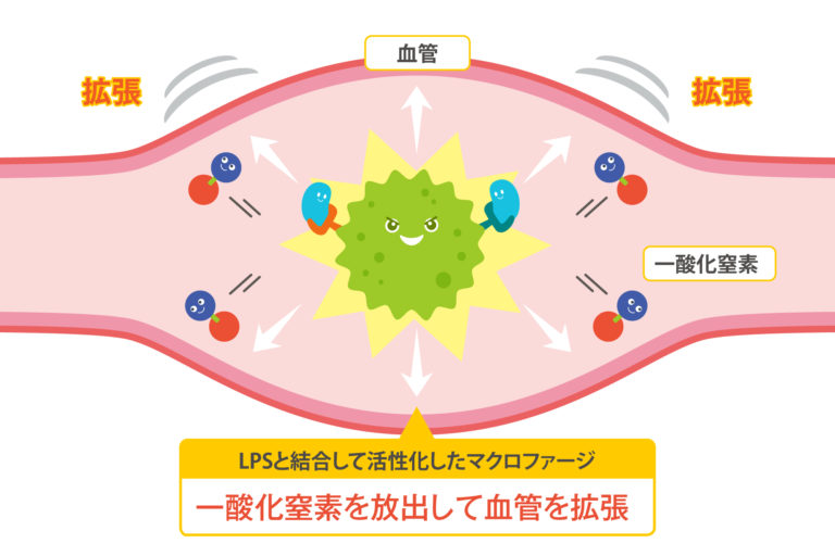 免疫細胞「マクロファージ」の働き方とは？活性化された時の嬉しい効果もご紹介！ やさしいlps