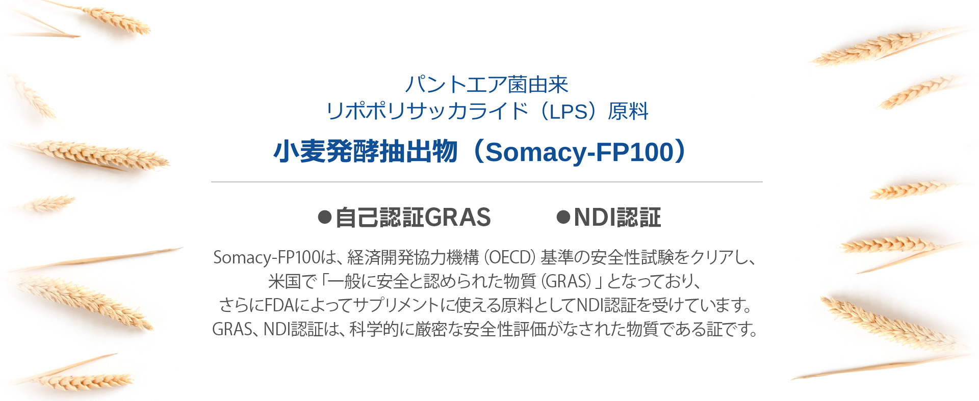 パントエア菌由来LPS原料　小麦醗酵抽出物（Somacy-FP100）　●自己認証GRAS　●NDI認証